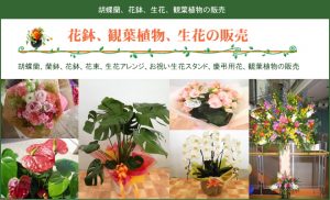 植物販売ページ